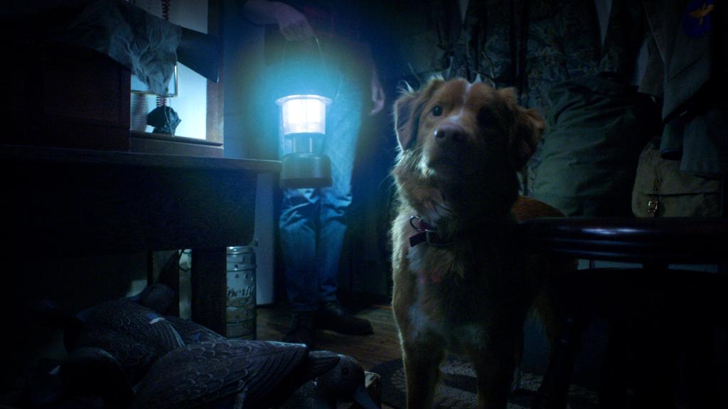 [FFF 2025] Good Boy Review – An Original Vision That Amounts To A Fantastic Horror Film From The POV Of A&nbsp;Dog