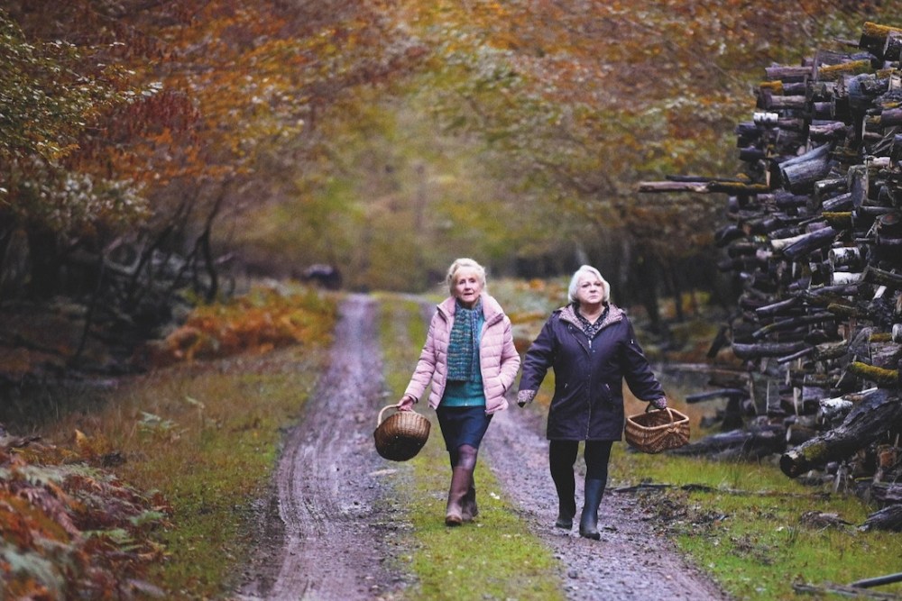 [FFF 2025] When Fall Is Coming Review – A Little Indie Foreign Film That Has The Stlye And Feeling Of Things You’ve Seen&nbsp;Before