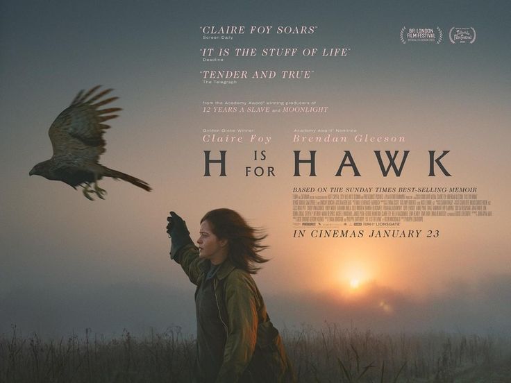 H Is For Hawk Review – Has Soaring Potential, But Barely Gets Off The ...
