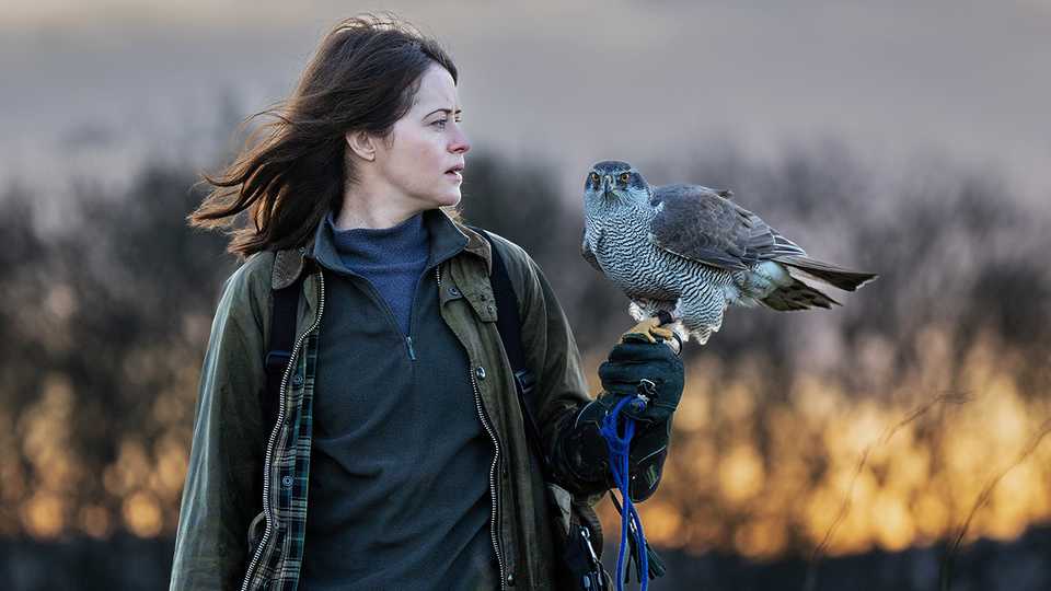 H Is For Hawk Review – Has Soaring Potential, But Barely Gets Off The Ground